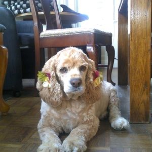 Meet your Posher, Rhonda